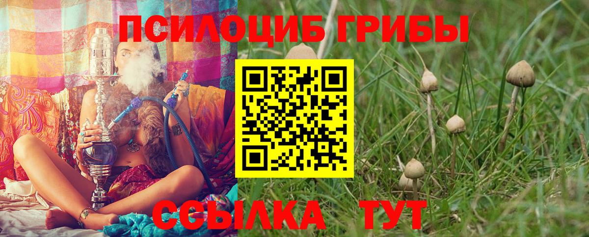 Псилоцибиновые грибы ЛСД  Вход с VPN  Ижевск 