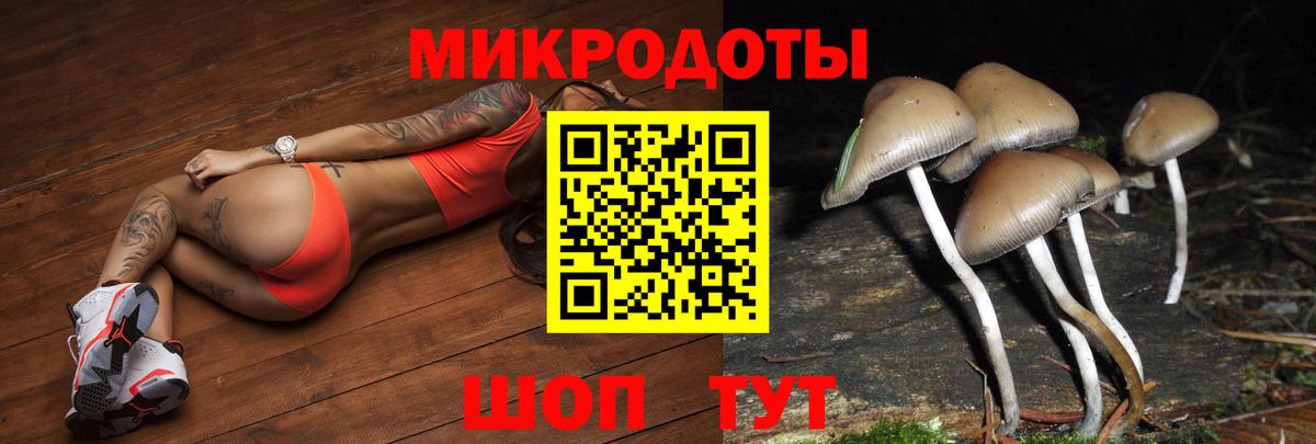 Галлюциногенные грибы Psilocybine cubensis Ижевск